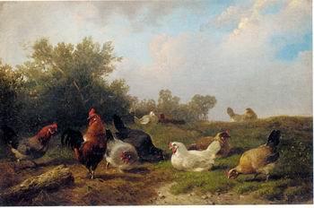 unknow artist Cocks 124 France oil painting art